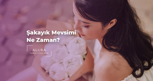 Şakayık Mevsimi Ne Zaman?